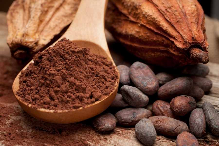 Bột Cacao