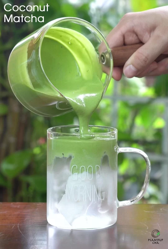 coconut matcha 2
