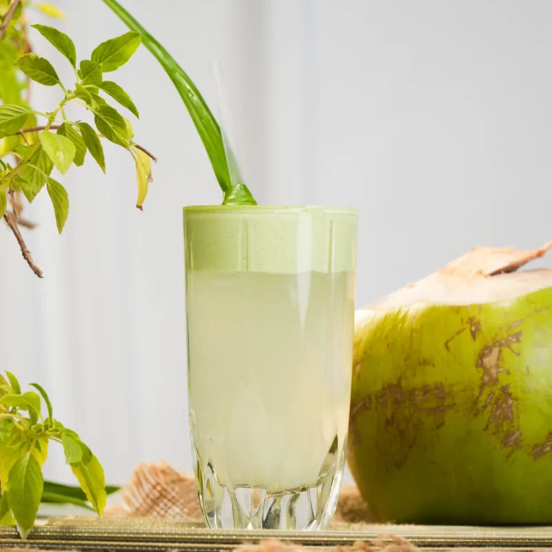 matcha dua tuoi 1
